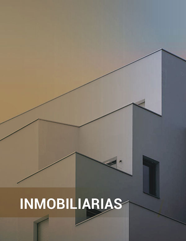 inmobiliaria